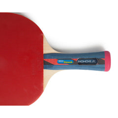 JOOLA Tour Expert Table Tennis Racket & Ball Case Set