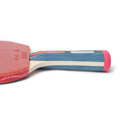 JOOLA Tour Expert Table Tennis Racket & Ball Case Set