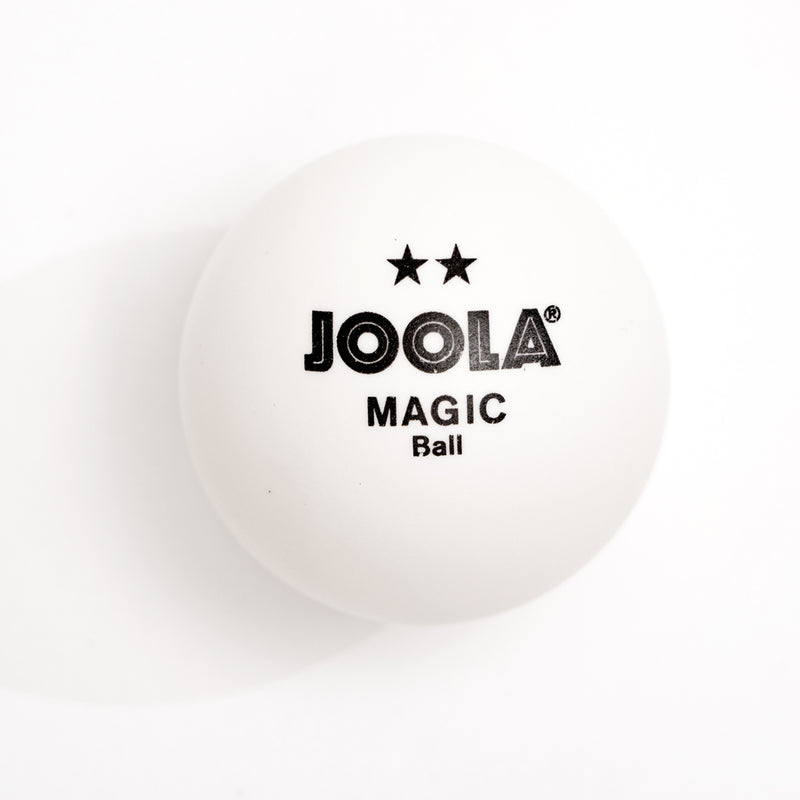 JOOLA Magic Abs 2-star Recreational Table Tennis Balls (48 Count)